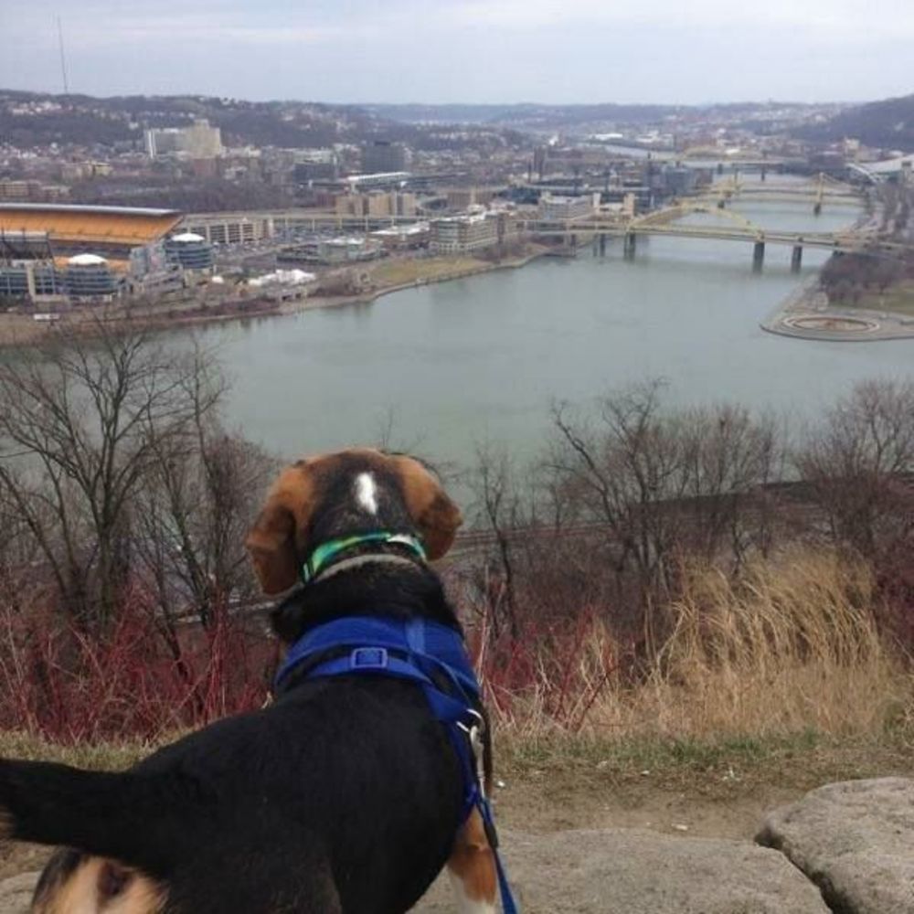 Meet your Posher, Soo